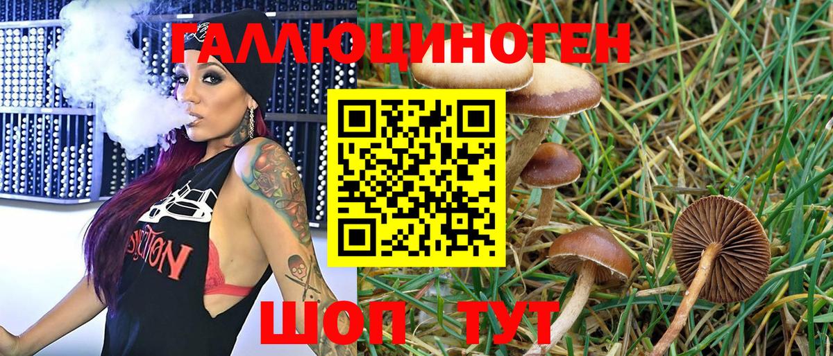 Малгобек  Псилоцибиновые грибы Magic Shrooms  Вход с VPN 